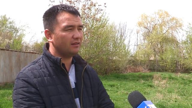 В ущелье Наутсай снежный барс пришел в гости к людям смотреть онлайн
