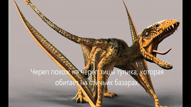 Самые странные доисторические животные, 10 самых больших животных живших на нашей планете! смотреть онлайн