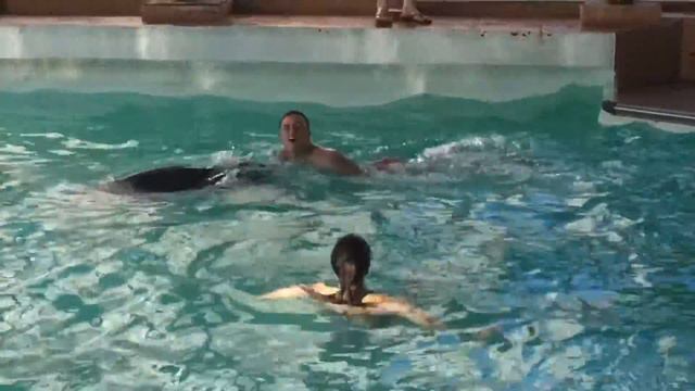 Плавание с дельфинами. Ростовский дельфинарий смотреть онлайн