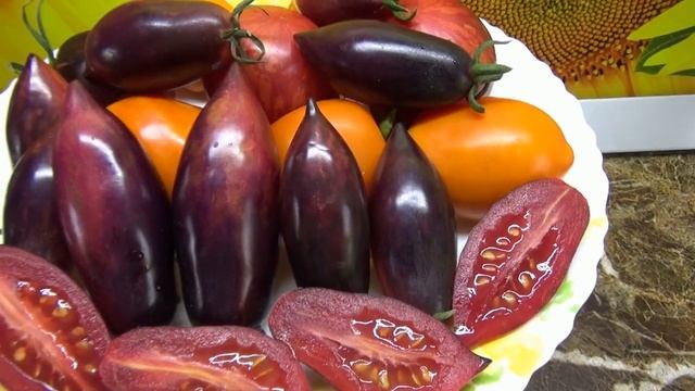 Новинки томатов 2023 года. Томат Сливка Гурман анто. Дегустация. смотреть онлайн