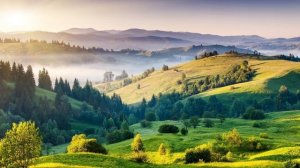 Расслабляющая Лечебная Музыка. Музыка, С Которой Засыпаешь Мгновенно! Расслабляющая Лечебная Музыка.