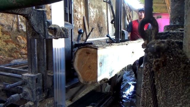 didalam kayu berlubang ini ternyata ada dua ekor hewan tak kasat mata yang diduga membahayakan смотреть онлайн