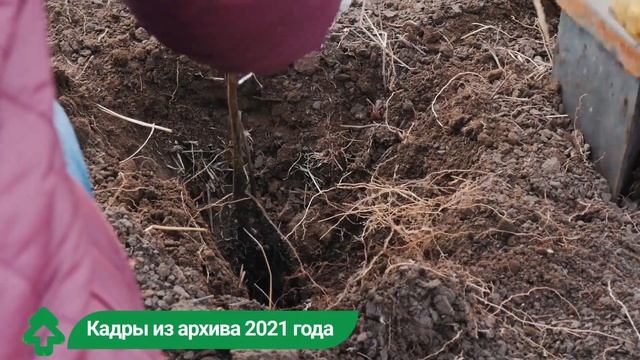 Оренбург. Репортаж с агроухода 26.09.22 смотреть онлайн