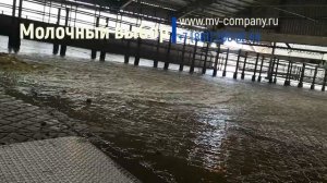 Навоза удаление из коровника методом гидросмыва.