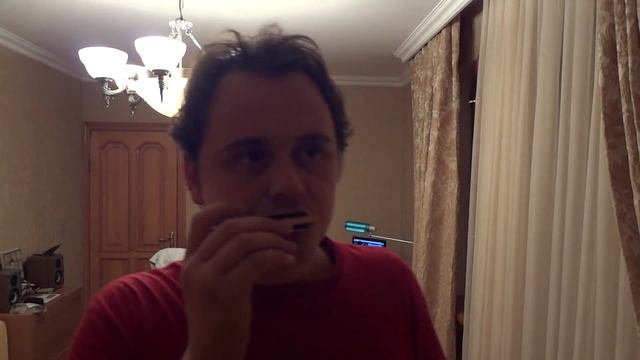 Разница в звуке Кастомной и Магазинной гармошки ! смотреть онлайн
