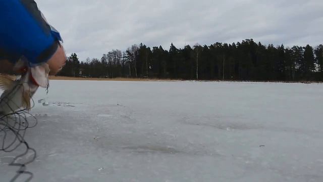 жерлица :) смотреть онлайн