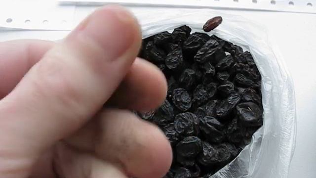 Как нас обманывают на сухофруктах. Крашенный изюм. Colored raisins. смотреть онлайн