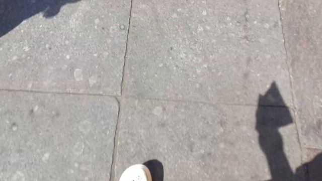 влог | поездка в Питер | финский залив | Петергоф | развод мостов | алые паруса | смотреть онлайн