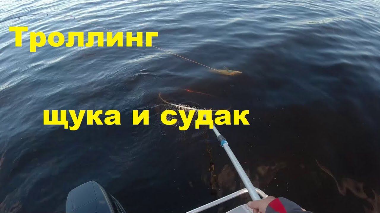 Троллинг начало июля Новые расцветки смотреть онлайн