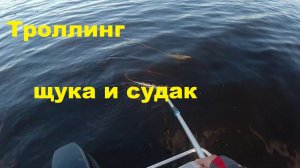 Троллинг начало июля  Новые расцветки