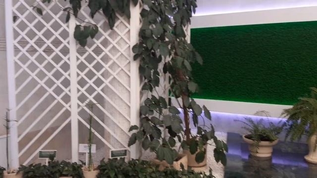 Фонтан Кремлевского дворца. Новый зимний сад в Кремле и фонтан. 3 апреля 2023г. смотреть онлайн