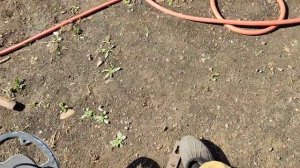 Металлоискатель ST-944 . Настройка на разные металлы