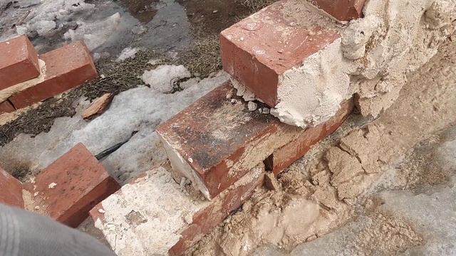 Пробник известкового раствора (прошло 4 дня)