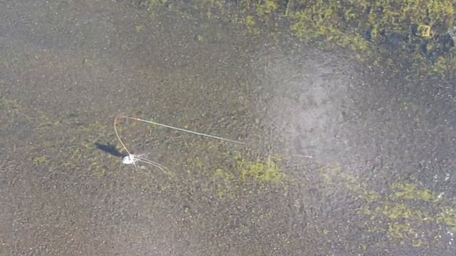 Красивая рыбалка Нахлыст смотреть онлайн