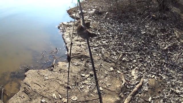 Фидер ранней ВЕСНОЙ!!! (Щука на червя?!?) Рыбалка 2019 смотреть онлайн