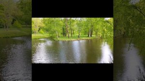 Парк Гатчинского дворца (Гатчина, Санкт-Петербург, Россия)   Gatchina Palace Park (Gatchina, Russia)