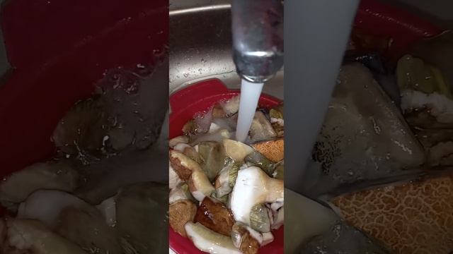 Гастрономический уголок с Антониной