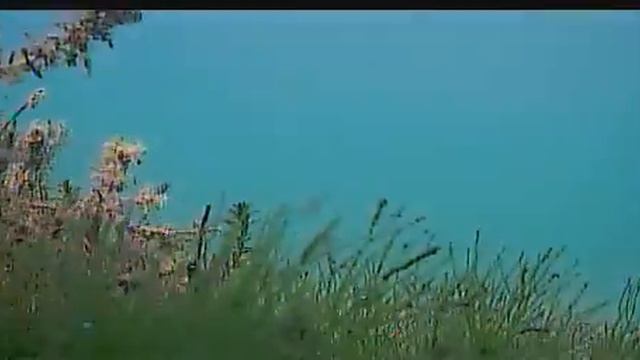 Сунукуль растительность смотреть онлайн