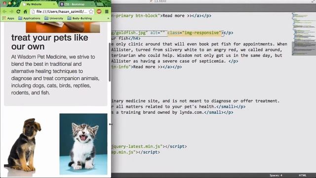 ۱۳- عکس ها در Bootstrap بوتسترپ смотреть онлайн