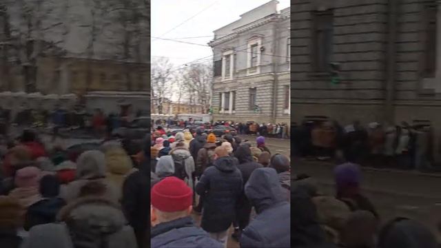 прогулка продолжается Санкт-Петербург Звенигородский проспект смотреть онлайн
