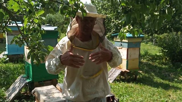 Пчеловодство №83 Нуклеус, что получилось! смотреть онлайн