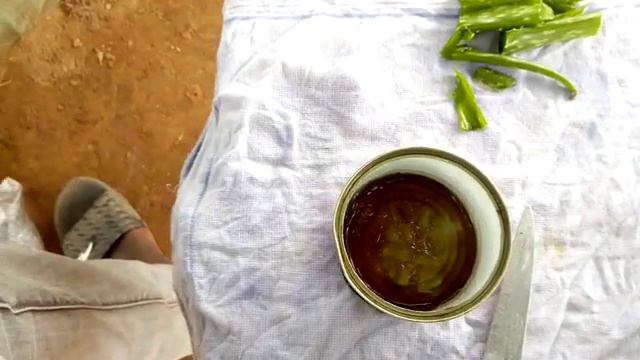 How to make rooting hormone at home with 100% results. Aloe Vera and Honey. (Best rooting hormone) смотреть онлайн