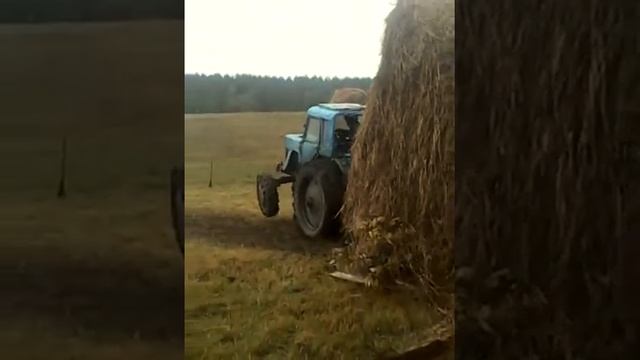 Трактор бушует