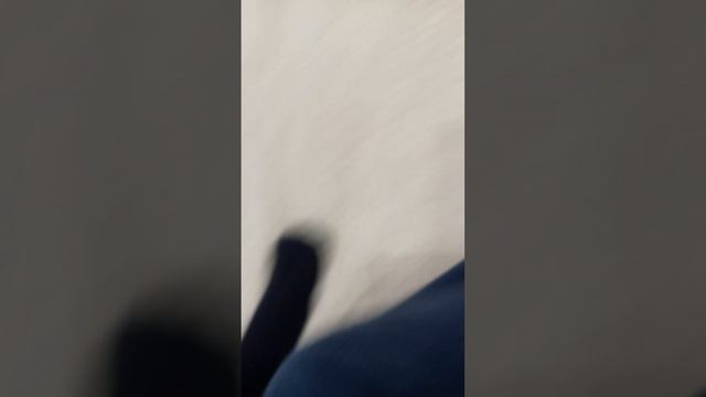 у моей мамы сегодня день рождения! смотреть онлайн