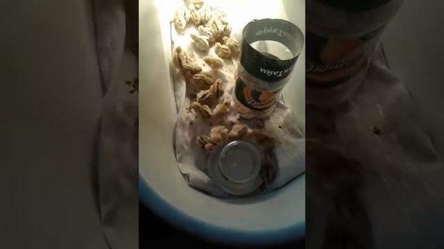 Перепелки 1 вывод смотреть онлайн