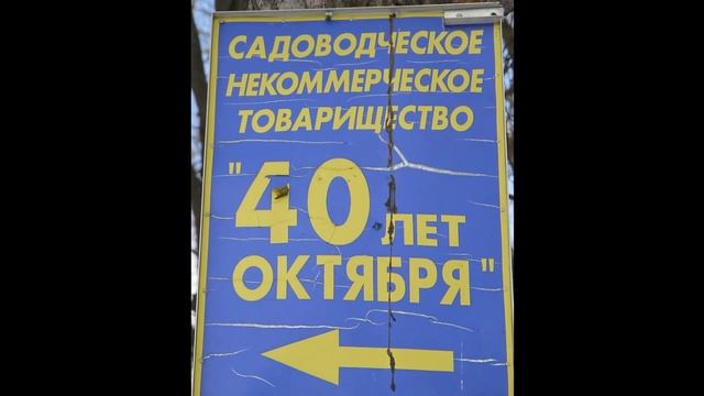 "Дубки", история нашего поселка смотреть онлайн