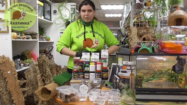Оформление террариума для эублефара - ящерицы, которая не требует много места смотреть онлайн