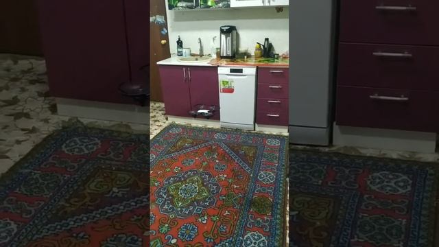 tello программирование на python смотреть онлайн