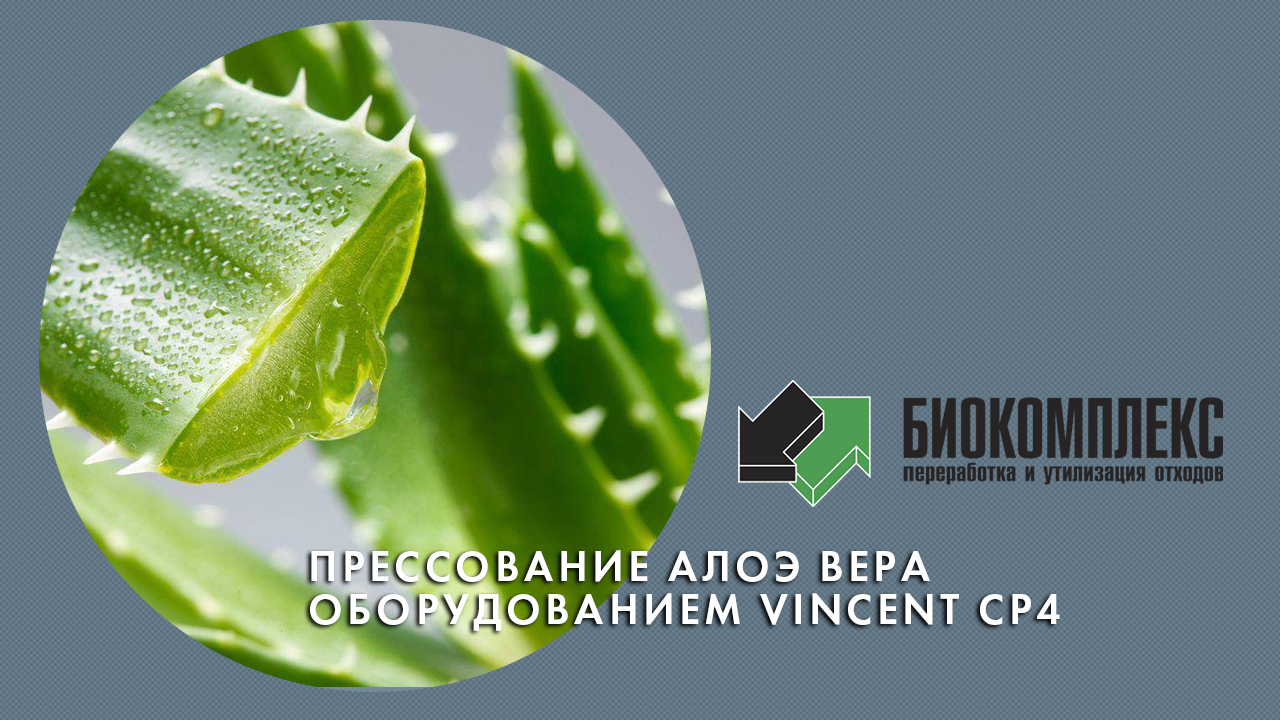Прессование алоэ вера оборудованием Vincent CP 4 смотреть онлайн