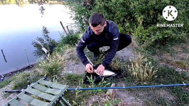 РИБАЛКА В ПОЛЬШЕ,КАРП ЗЕРКАЛЬНИЙ