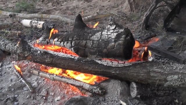 Берег Ладоги. 22-24 июня 2022 смотреть онлайн