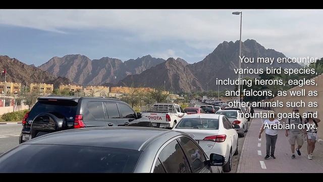 Travel Dubai | Hatta Kayak & Hatta Dam | A Beautiful Road Trip To An Weekend Getaway | From Dubai | смотреть онлайн