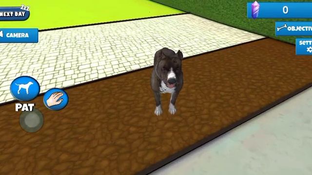 Я играю в новую игру animal shelter simulator 3D у меня у меня в конце вышла ошибка! смотреть онлайн