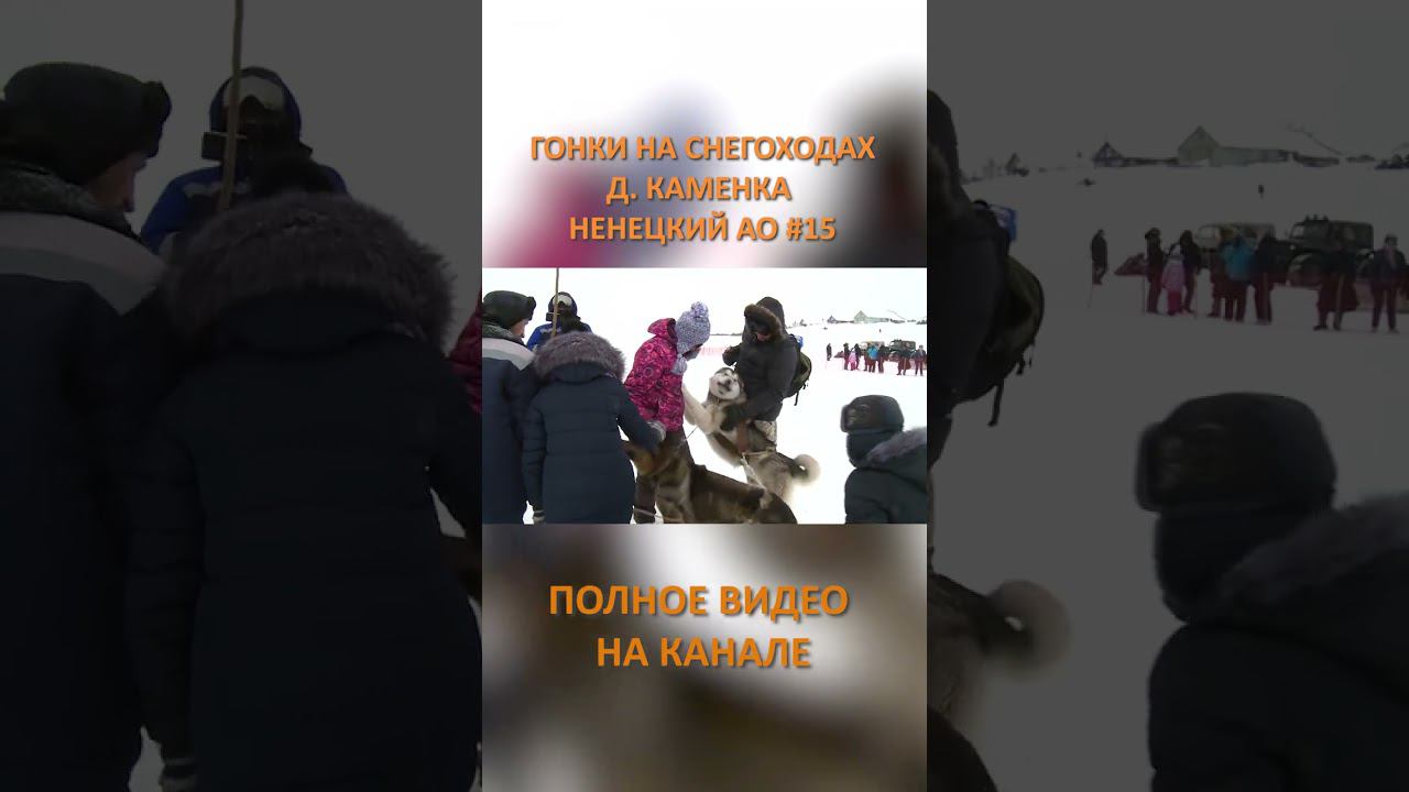 ГОНКИ НА СНЕГОХОДАХ КАМЕНКА 15 SHORTS #SHORTS смотреть онлайн