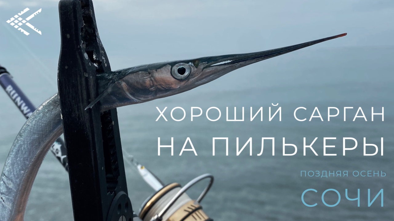 Хороший сарган на пилькеры! Поздняя осень. Сочи. смотреть онлайн
