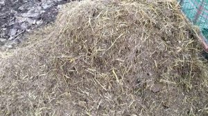 Подстилка в курятнике на всю зиму, без заморочек,и постоянных чисток.