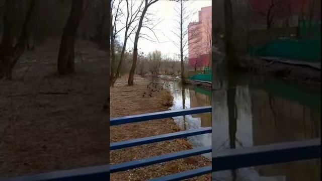 Моя Небольшая Прогулка смотреть онлайн