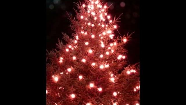 Wafic: Bitteyara , جايي بالطيارة from Album Jayee Papa Noel. смотреть онлайн