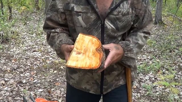 Материал для ручки ножа, Ольховый кап и Березовый корнекап смотреть онлайн