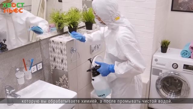 Кошки и хлорка