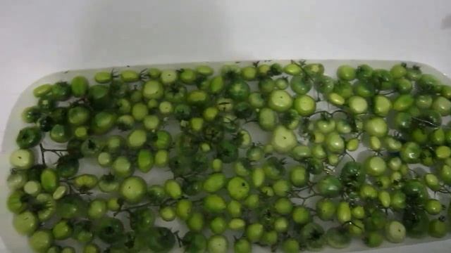 Как сохранить помидоры, чтобы не почернели смотреть онлайн