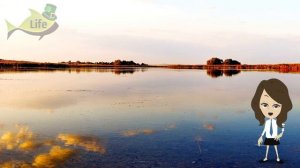 Как ловить сазана весной в марте апреле и мае? Секреты ловли сазана весной!