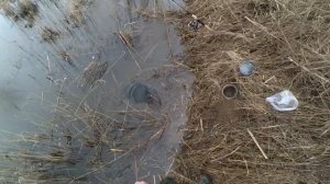 КАРАСЬ НА ПРОБКУ (ловля карася весной на донку)