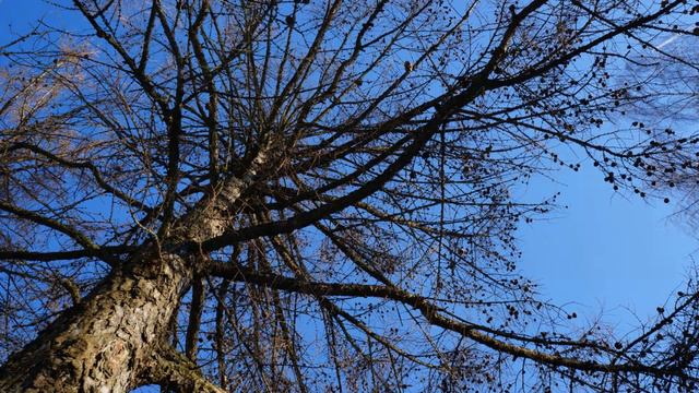 Притча Принять или отказаться смотреть онлайн