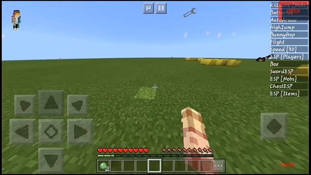 Minecraft PE 1.9 All Mod Menu 2019! смотреть онлайн