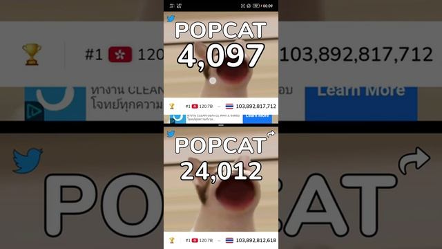 Game POP CAT #POP_CAT END смотреть онлайн